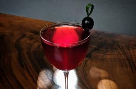 True Laurel-San Francisco-California-3